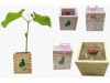 http://https://mocubo.es//p/12345-alubia-magica-maceta-madera.html