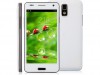 http://https://mocubo.es//p/12664-w9002-3g-quadcore-android-42-dualsim-lcd-43-blanco.html