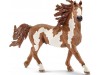 http://https://mocubo.es//p/13401-figura-semental-pinto-schleich-13794.html